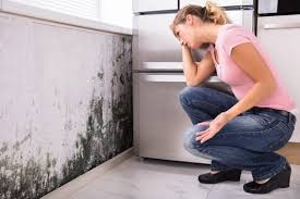  , USA Mold Remediation Pros